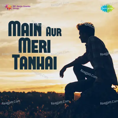 Main Aur Meri Tanhai - Shiv-Hari