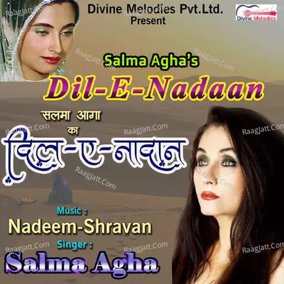 Dil E Nadan Poster