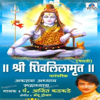 Shree Shivlilamrut Poster