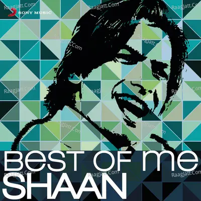 Best of Me Shaan Poster