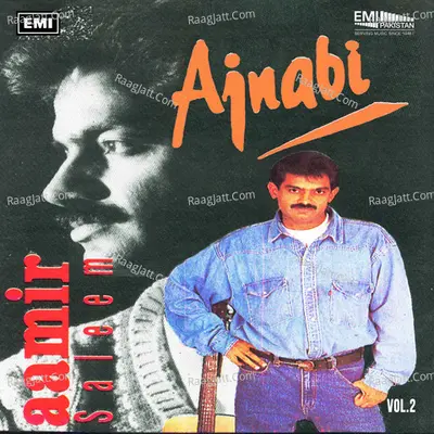 Ajnabi, Vol. 2 - Aamir Saleem