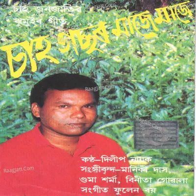 Chah Gacher Majhe Majhe - Dilip Nayak