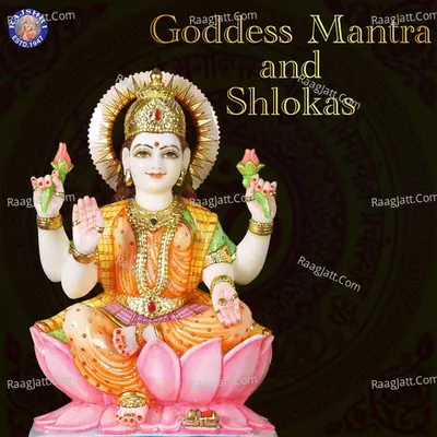 Goddess Mantra and Shlokas Poster