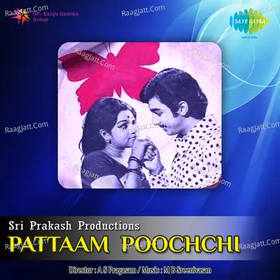 Pattaam Poochchi - P. Susheela