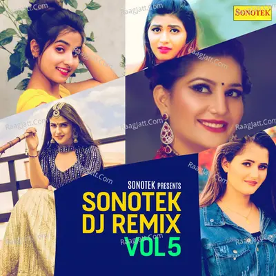 Sonotek DJ Remix Vol 5 Poster