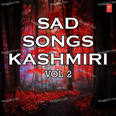 Sad Songs - Kashmiri Vol-2 - Shazia Basheer