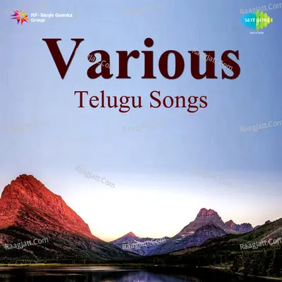 Various Telegu Songs - S. P. Balasubrahmanyam