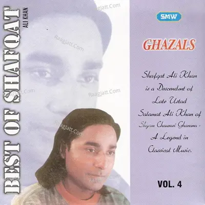 Best Of Shafqat Ali Khan Vol 4 - Shafqat Ali Khan