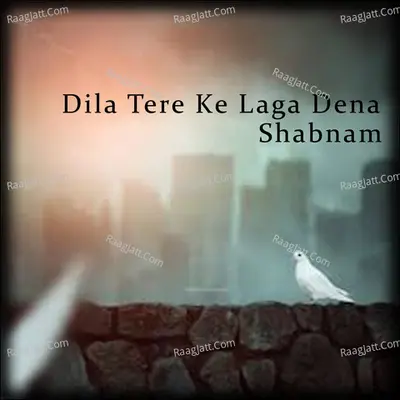 Dila Tere Ke Laga Dena Poster