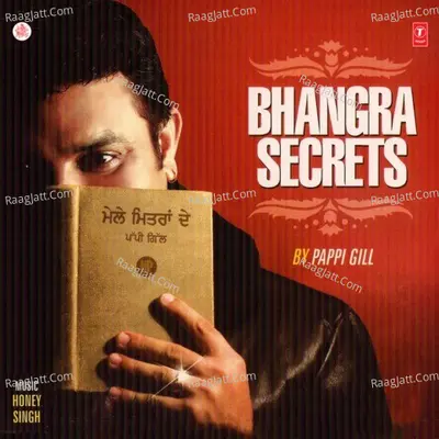 Bhangra Secrets Poster