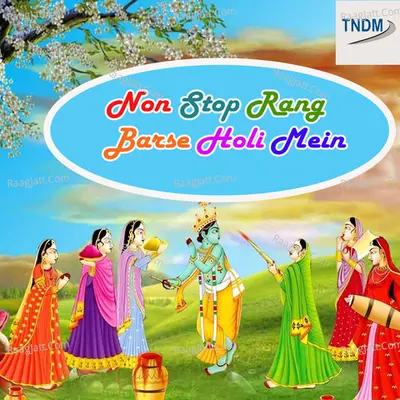 Non Stop Rang Barse Holi Mein Poster