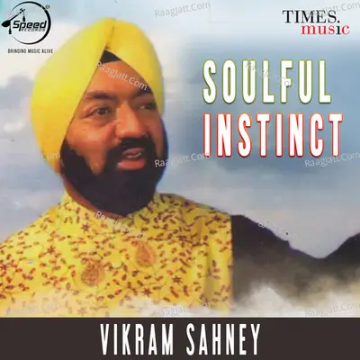 Soulful Instinct - Vikram Shney