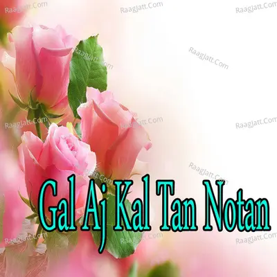 Gal Aj Kal Tan Notan Poster