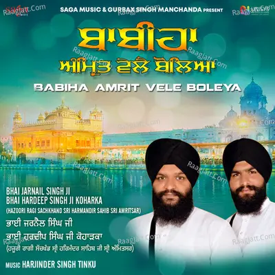 Babiha Amrit Vele Boleya Poster