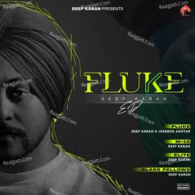 Fluke Poster