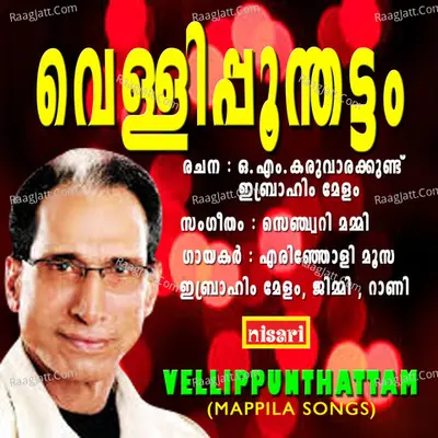 Vellippunthattam Poster