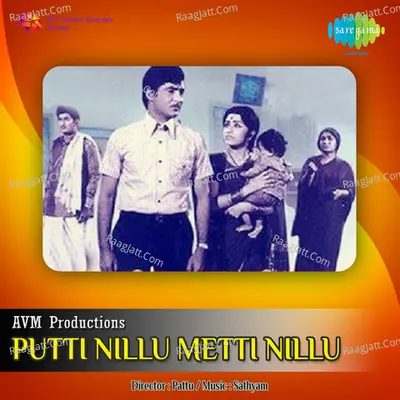 Puttinillu Metti Nillu - Sathyam