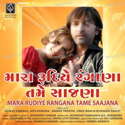 Mara Rudiye Rangana Tame Saajana (Original Motion Picture Soundtrack) - Parthiv Gohil