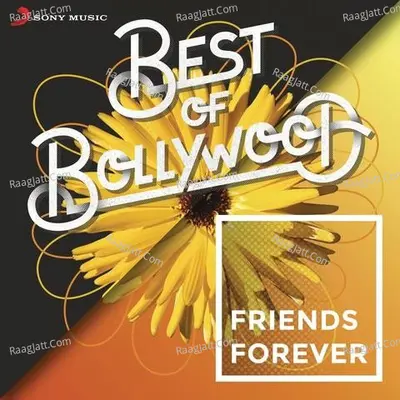 Best of Bollywood: Friends Forever Poster