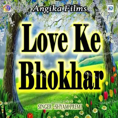 Love Ke Bhokhar Poster