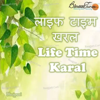 Life Time Karal Poster