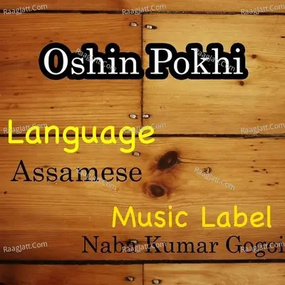 Oshin Pokhi Poster