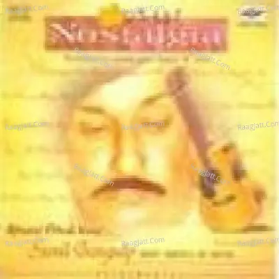 Nostalgia - Great Ghazals On Electric Guitar By Sunil Ganguly  - Sunil Ganguly