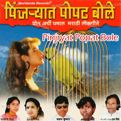 Pinjryat Popat Bole Poster