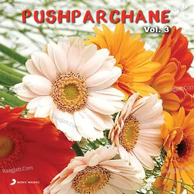 Pushparchane Vol. 3 - K. S. Chithra