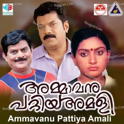 Ammavanu Pattiya Amali Poster