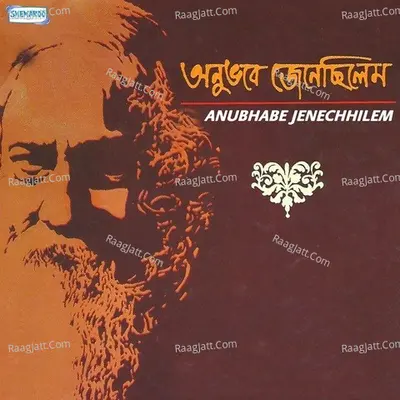 Anubhabe Jenechhilem - Srikanto Acharya