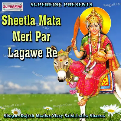 Sheetla Mata Meri Par Lagawe Re Poster