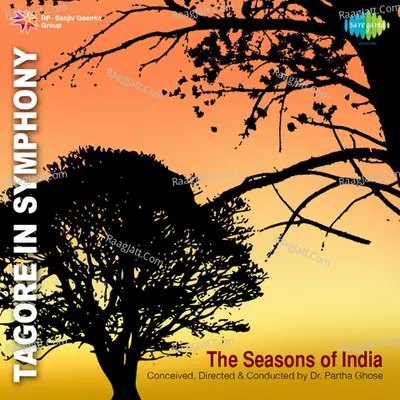 Tagores In Symphony The Seasons Of India - Various Artists