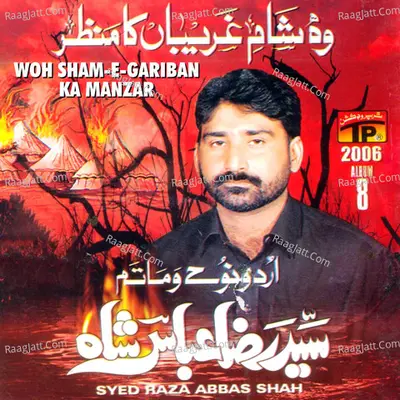 Woh Shaam E Gariban Ka Manzar, Vol. 8 - Syed Raza Abbas Shah