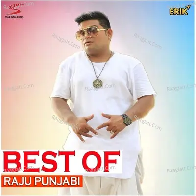 Best of Raju Punjabi - Raju Punjabi