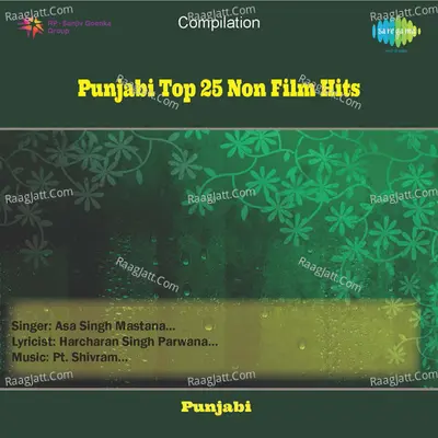 Punjabi Top 25 Non-film Hits Poster