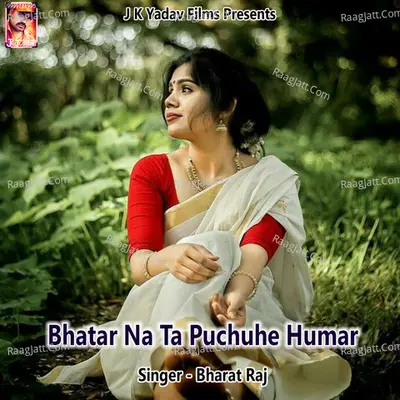 Bhatar Na Ta Puchuhe Humar Poster