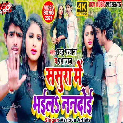 Sasura Me Bhail Nandoi Poster