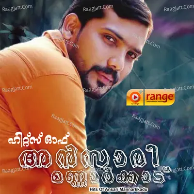 Hits Of Ansari Mannarkkadu Poster