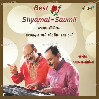 Best of Shyamal Saumil Poster