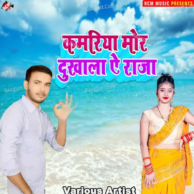 Kamariya mor dukhala ye raja Poster