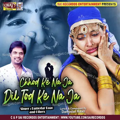 Chhod Ke Na Ja Dil Tod Ke Na Ja Poster