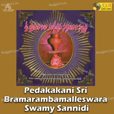 Pedakakani Sri Bramarambamalleswara Swamy Sannidi - 