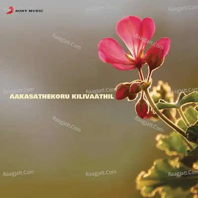 Aakasathekoru Kilivaathil (Original Motion Picture Soundtrack) - Ouseppachan