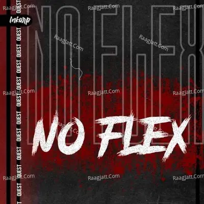 No Flex Poster