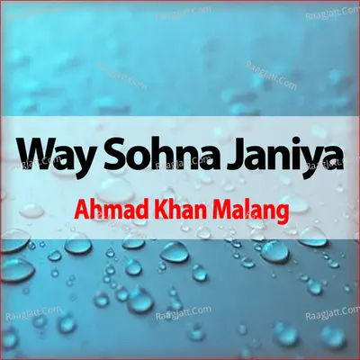 Way Sohna Janiya Poster