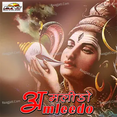 Amleedo - Yash Rathod