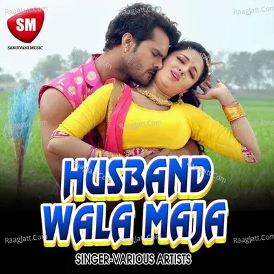 Husband Wala Maja Poster