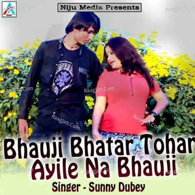 Bhauji Bhatar Tohar Ayile Na Bhauji Poster