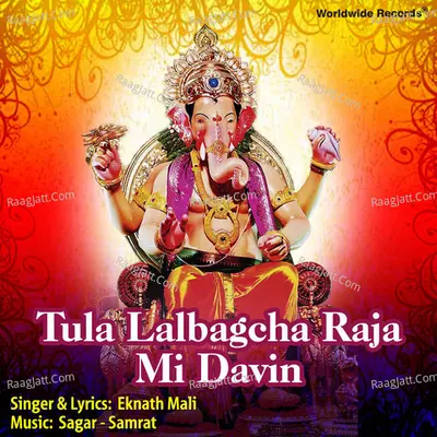 Tula Lalbagcha Raja Mi Davin Poster